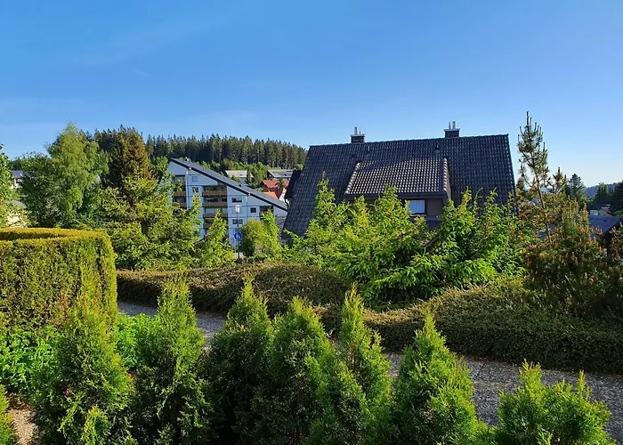 Appartamento Schwarzwaldblick C App 2 Mit Pool